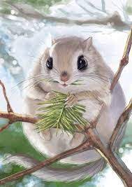 Japanese Squirrels Google Search Baby Animals Japanese Dwarf Flying Squirrel Animals