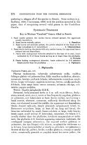 Image result for Senecio auriculatissimus