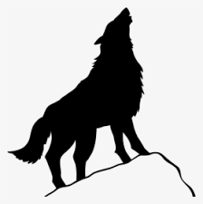 #wolf #lobo #galaxy #girlpower #girl #woman #sexygirls image by milene piva. Freetoedit Galaxia Lobo Circulo Galaxy Wolf Transparent Background Hd Png Download Transparent Png Image Pngitem