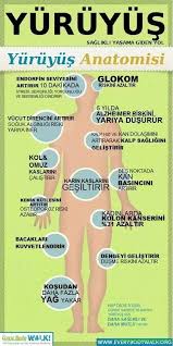 Twitter Anatomie Lernen Gesundheit Und Schonheit Gesundheit