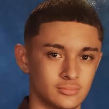 Julian Lua's Public Safety Academy Bio