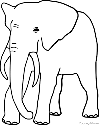 « back ♥ print this asian elephant color page animal coloring pages gallery ». Realistic Elephant Coloring Pages Coloringall