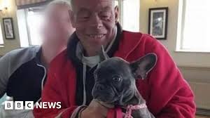 Appeal over French bulldog snatched from Arnold house