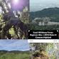 Coral Hill Mossy Forest Beginner Hike + 2D1N Relax event image