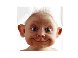 miscellaneous Photo Gallery by Alan Wilkinson at pbase.com