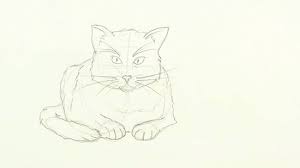 Beberapa di antaranya akan disajikan dalam bentuk sketsa gambar kucing di bawah ini. 4 Cara Untuk Menggambar Kucing Wikihow