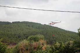 Aydos ormanı'nın sancaktepe ilçesi sınırlarında kalan bölümünde henüz belirlenemeyen nedenle yangın başladı. Son Dakika Aydos Ormani Nda Yangin Cikti Yeni Safak
