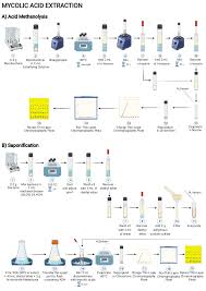 Solved Laboratory Manual And Workbookk In M Date Name Class | Chegg.Com