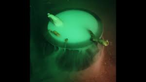 Easy How To Use Dry Ice To Make Fog For Halloween Other Easy Halloween Decorating Ideas Youtube
