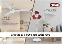Dt = dp / 1000 (6). Table Fan Manufacturer In India Archives Polar Electric Explore The Premium Range Of Everyday Home Appliances
