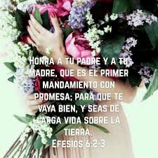 Honra A Tu Padre Y A Tu Madre Para Que Te Vaya Bien Palabras De Paz Textos De La Biblia Santisimo Nombre De Jesus