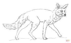 You can print the coloring page directly in your browser or download the pdf and then print it. Realistic Red Fox Coloring Page Free Printable Coloring Pages Coloring Home