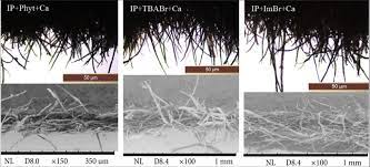 We did not find results for: Optical Microscope Photographic Images Of The Edge Of Differently Download Scientific Diagram
