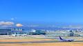 Haneda Airport - getting there, terminal info, and more | The Official Tokyo Travel Guide, GO TOKYO