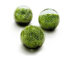 Turf Paperweight I Don T Know If I Think This Is Exactly Beautiful But It S Cool To Look At And For 98 It Ought To Petits Jardins Feuille Presse Papiers