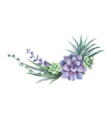 Download Cactus Watercolor Wreath Vector Images Over 100