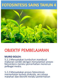 Sebab ia melibatkan hampir semua cabang ilmu sains, misalnya. Fotosintesis T4