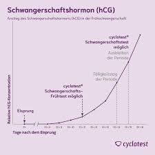 Wann kann ein schwangerschaftstest durchgeführt werden? á… Schwangerschaftstest Ab Wann Moglich Cyclotest