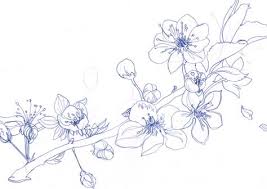 Title Avec Images Dessin Fleur Fleur De Cerisier Dessin Coloriage Japonais