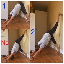 Stretch Of The Week Three Legged Downward Dog Downward Dog Dog Yoga Yoga Poses