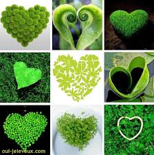 Un Mariage Vert Et Equitable Avec Images Mariage Vert Mariage Ecolo Idee De Graphisme