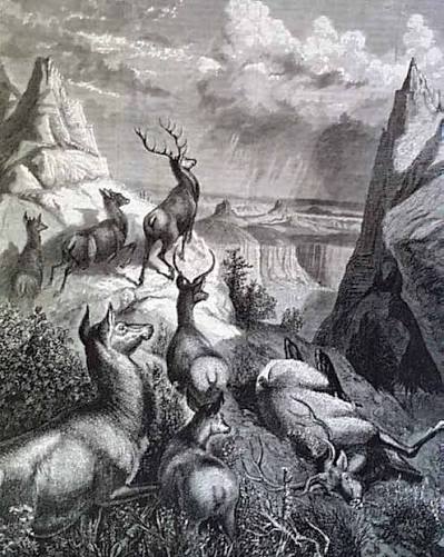 Great print of the Statue of Liberty... Elk hunting... Colorado mining... | RareNewspapers.com