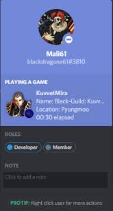 What Is Discord Rich Presence Mobile Legends