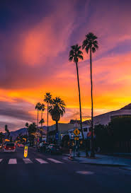 How to set a sunset wallpaper for an android device? Aesthetic Sunset Aesthetic Pinterest Iphone Wallpaper Novocom Top