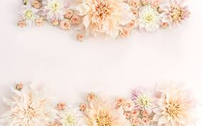 Spruce up your phone with a free may designs wallpaper! Desktop Backgrounds On Pinterest Rose Gold Flower Background 1856x1161 Wallpaper Teahub Io