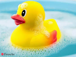 They are very disciplined ducklings. Bacteria There Is Nothing Pleasant About The Cute Yellow Rubber Duck The Economic Times
