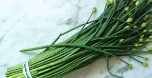 Sementara itu hardneck memiliki batang tegak dan keras lalu di. 4 Cara Menanam Daun Bawang Lengkap Dengan Gambar