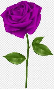 Check spelling or type a new query. Ilustrasi Mawar Bunga Mawar Biru Mawar Ungu Biru Gambar Format File Violet Png Pngwing