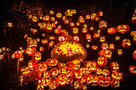 Minnesota Zoos Spooky Glowing Jack O Lantern Trail Is A