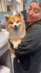 The Spaw (@thespawplace) · Jerome, ID