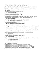 Maybe you would like to learn more about one of these? Hailey Lab4aobserving Non Vascular And Seedless Vascular Plants Docx Unit 4 Lab A Non Vascular And Seedless Vascular Plants Refer To Lab Manual Lab 17 Course Hero