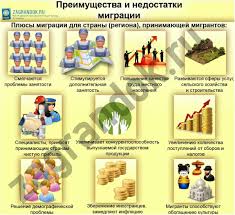Kakovy Plyusy I Minusy Migracii Emigracii Immigracii
