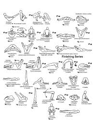 Image result for Primary Series