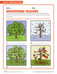 The Four Seasons Worksheet Education Com Seasons Worksheets Seasons Kindergarten Science Worksheets