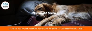 What is a good rate to charge for pet sitting? Come Sit Stay Dog Walking In Home Pet Sitting Minneapolis St Paul