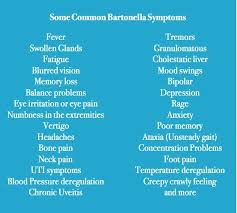 Lyme Disease And Bartonella Infections