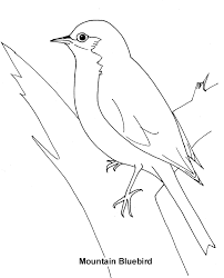 We have collected 40+ blue bird coloring page images of various designs for you to color. Bluebird Coloring Page Bluebird Free Printable Coloring Pages Animals