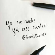 Pin En Frases