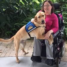 A person is eligible for a service dog if they have a physical, emotional or mental disability a service dog must be well mannered at all times Where Can Service Animals Go Guide Special Needs Alliance