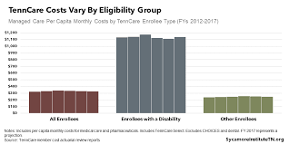 Medicaid Block Grants The Unknown Details Matter