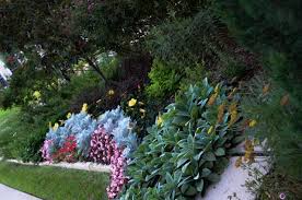 All year flower design type: Texas Perennial Garden Top Ten Summer Perennials Lee Ann Torrans Gardening