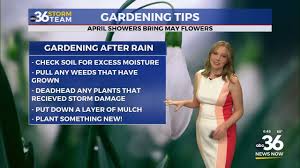 Cooler air settles in with lingering showers