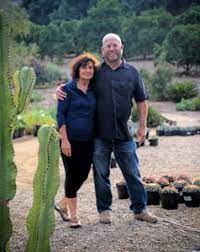 Explore why your cactus is getting sunburned and how to know if it is. Capitalizing On The Succulent Craze