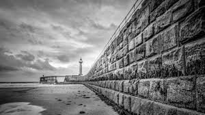 3447 likes · 1 talking about this. Aesthetic Photography Composition Lighting And Color