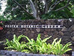 Foster Botanical Garden Botanical Gardens Botanical Organic Gardening Tips