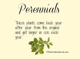 Fresh Herbs Annual Biennial Or Perennial The Gardening Cook Herbs Perennials Fresh Herbs